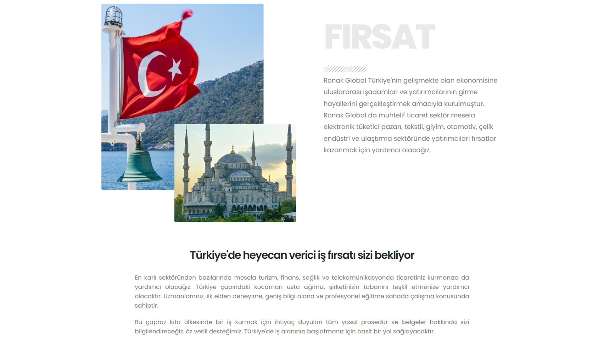 Ronak Global Turkey