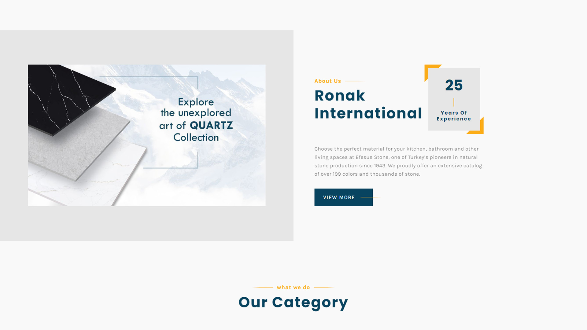 Ronak International