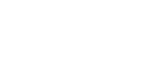 Rapid Global