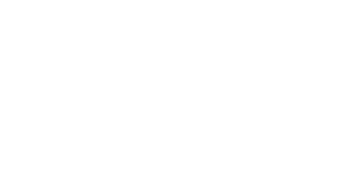 Rapid Global
